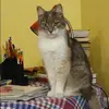 Отзыв от Анжела Федорова